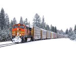 BNSF 5194